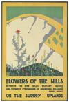 EDWARD MCKNIGHT KAUFFER (1890-1954). [FLOWERS AND FORESTS.] Two posters. 1920. Each approximately 30x20 inches, 76x51 cm. The Dangerfie